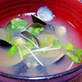 ❤　大根葉＆カイワレ入りシジミの御味噌汁　❤